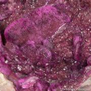 Cobaltoan Dolomite