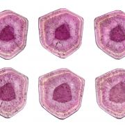 Tourmaline Var. Liddicoatite