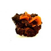 Wulfenite. 334.0 ct.