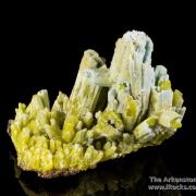 Plumbogummite ps Pyromorphite