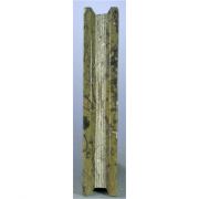 Orthoceras Fossil 