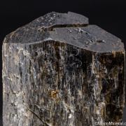 Actinolite