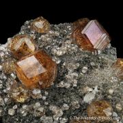 Grossular var. Hessonite Garnet