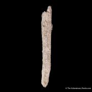 Quartz ps. Aegirine