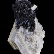 Tantalite on Muscovite with Schorl