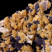 Tsumcorite and Wulfenite