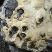 Gibbsite- type locale, historic specimen