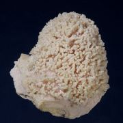 Rhodochrosite  with Aragonite