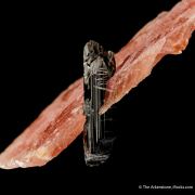 Rhodochrosite with Schorl