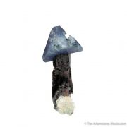 Benitoite on Neptunite