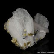 Bertrandite