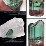 Liddicoatite Tourmaline on Quartz