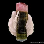 Tourmaline (blue cap) with Cleavelandite