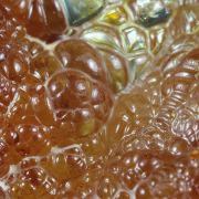 Opale / (variété - « Opal-AN ») / (variété - « Hyalite Opal ») / (« Blood Vessel Opal ») / Localité - San Luis Potosi, Mexique
