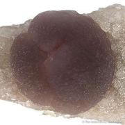 Purple Fluorite on Quartz
