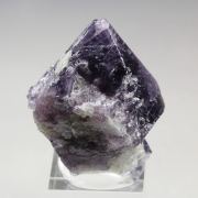 SPINEL