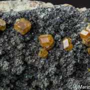 Andradite var. Topazolite