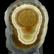 Baryte, marcasite