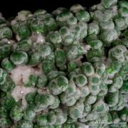 Conichalcite