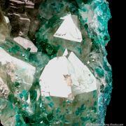 Dioptase inclusions in Quartz 