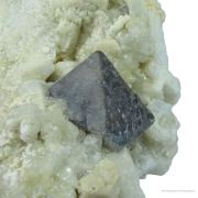 Tantalite Ps Microlite