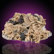 Luzonite  ANALYSED