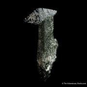 Anatase on Smoky Quartz