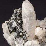 Polybasite with Quartz