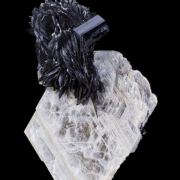 Tantalite on Muscovite with Schorl