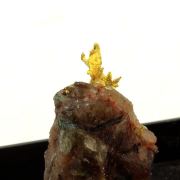 Native Gold. 11.80 ct.