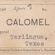 Calomel