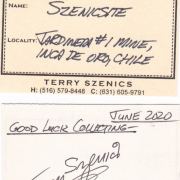 Szenicsite with Powellite (Cuprian)