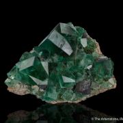 Fluorite with Galena