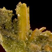 Pyromorphite ps. Cerussite