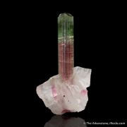 Elbaite Tourmaline on Quartz