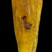 Legrandite