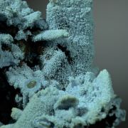 Chrysocolla ps Azurite/ Malachite