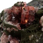 Rhodochrosite. 1155.0 ct.