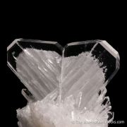 Quartz (Japan Law Twin) with Quartz