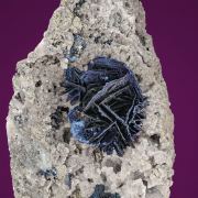 Covellite 