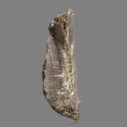 Native Lead