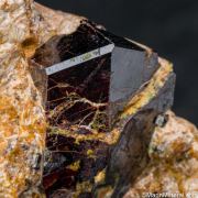 Rutile