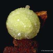 Adamite on Matrix