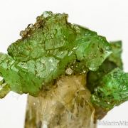 Tsavorite with Diopside