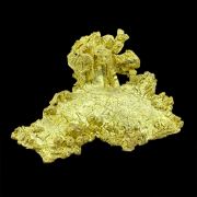 Gold TOP!