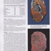 Andradite Garnet ps. Rhodochrosite with Gaudefroyite