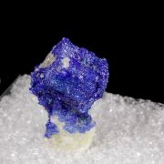 Linarite (pseudo. Galena) 