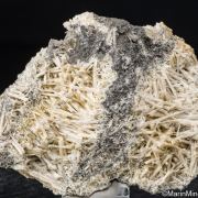 Cerussite