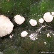 Arsendescloizite with Mimetite