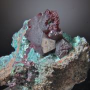 Cuprite (gem) on Plancheite